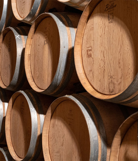 Stacked oak barrels